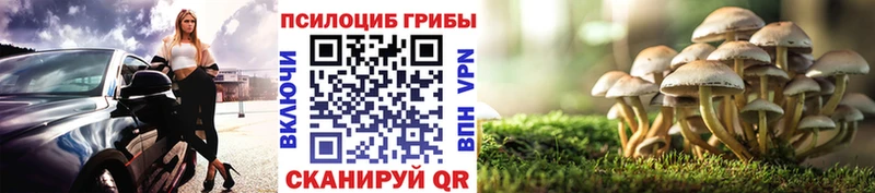 Галлюциногенные грибы MAGIC MUSHROOMS  Севастополь 
