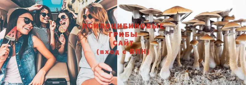 Псилоцибиновые грибы MAGIC MUSHROOMS  площадка официальный сайт  Севастополь  купить наркотики цена 