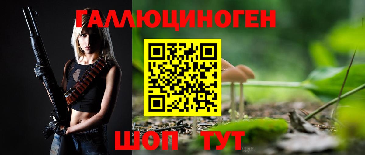Севастополь  Галлюциногенные грибы Psilocybine cubensis  Вход с VPN 