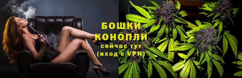 Шишки марихуана THC 21%  Севастополь 